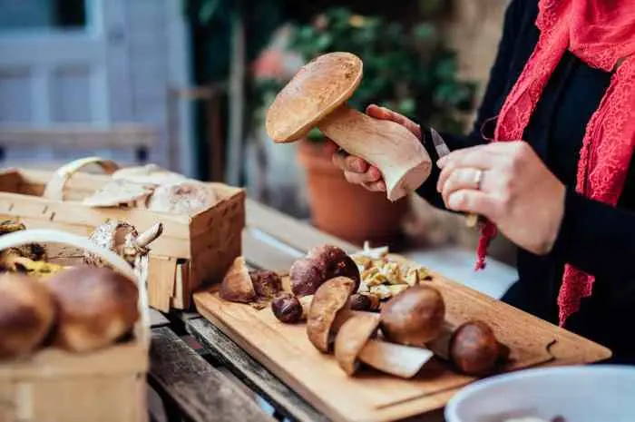 How Mushrooms Can Improve Your Health